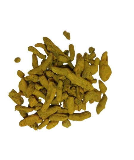 Curcuma raiz