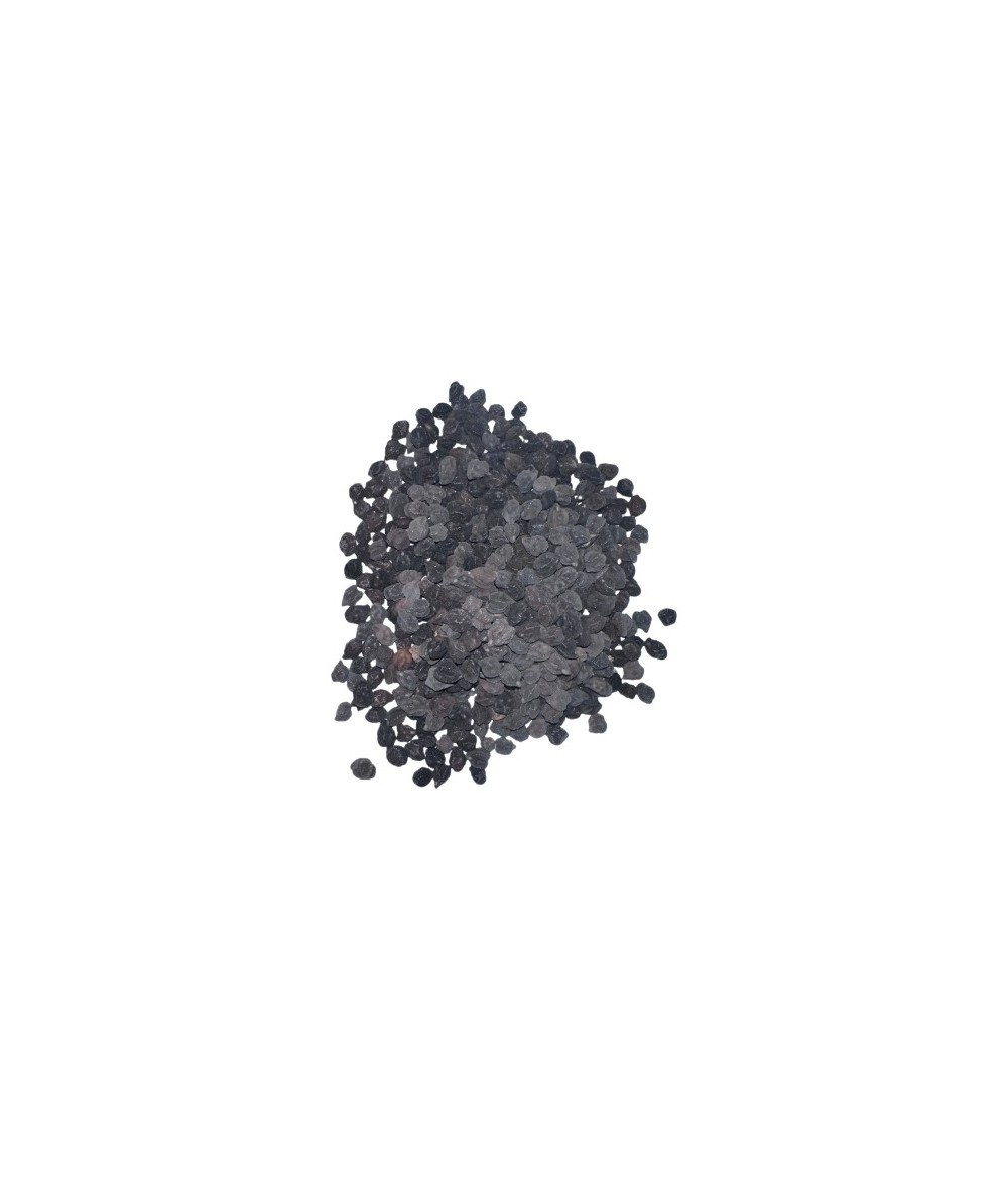 Garbanzo Negro