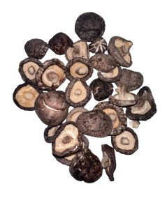 Shiitake