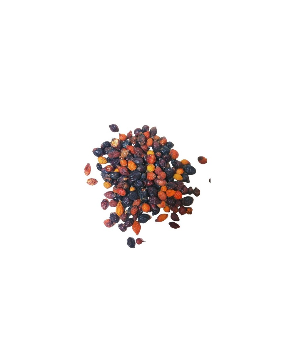 Escaramujo Frutos