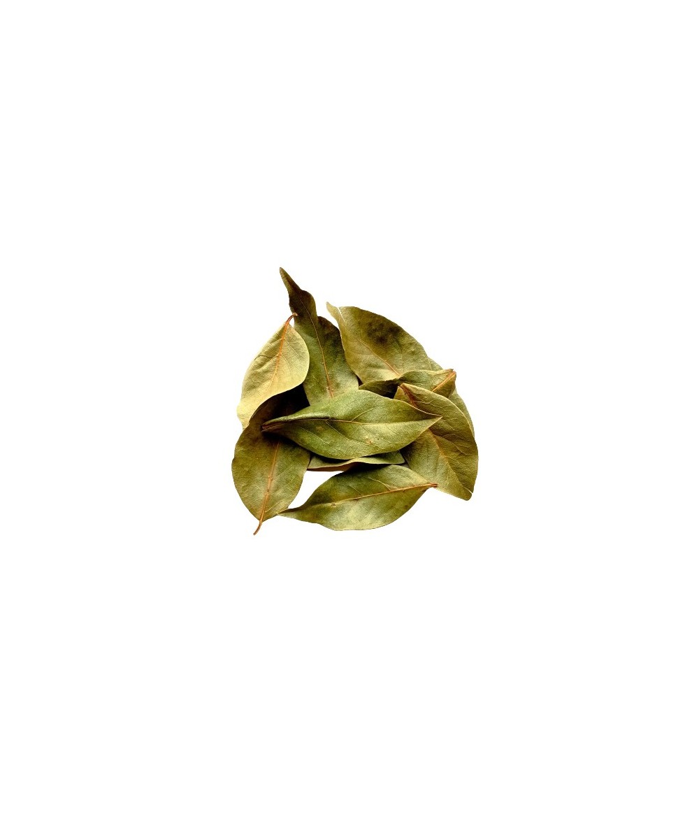 Laurel Hoja