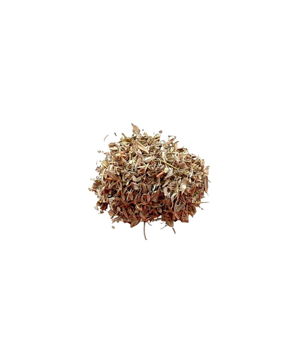 Salvia hoja
