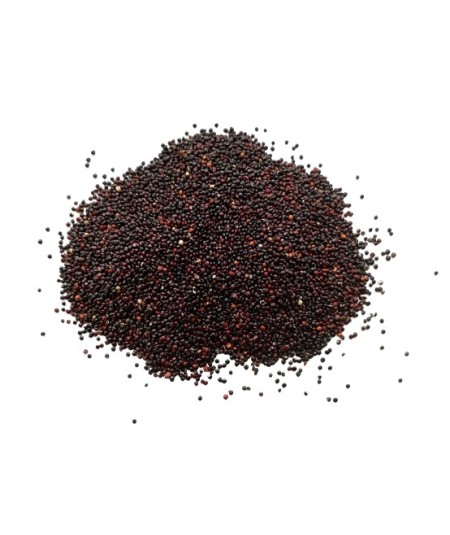 Quinoa Negra