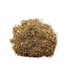 Herniaria