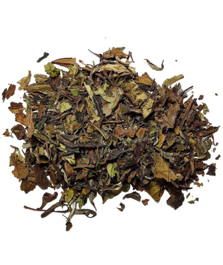 Té Blanco China Pai Mu Tan