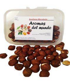 Avellana Mondada